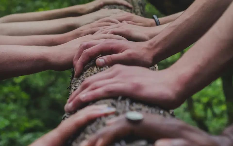 Many hands resting together on a fallen tree trunk