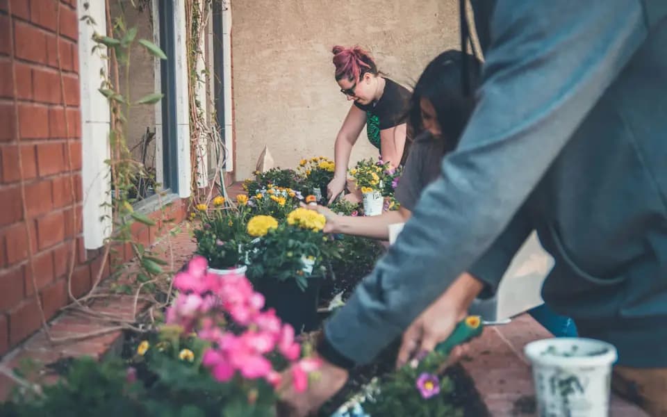 Volunteers planting flowers together in a community garden
